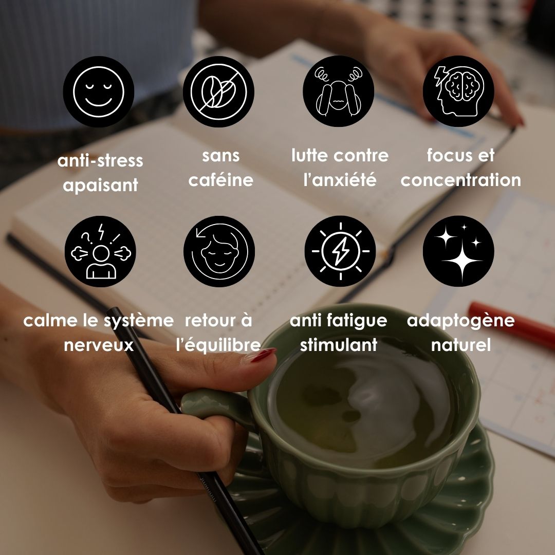 GO WITH THE FLOW - ANTI-STRESS & CLARTÉ MENTALE